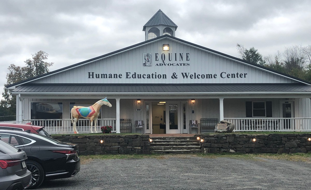 Equine Advocates Humane Education and Welcome Center