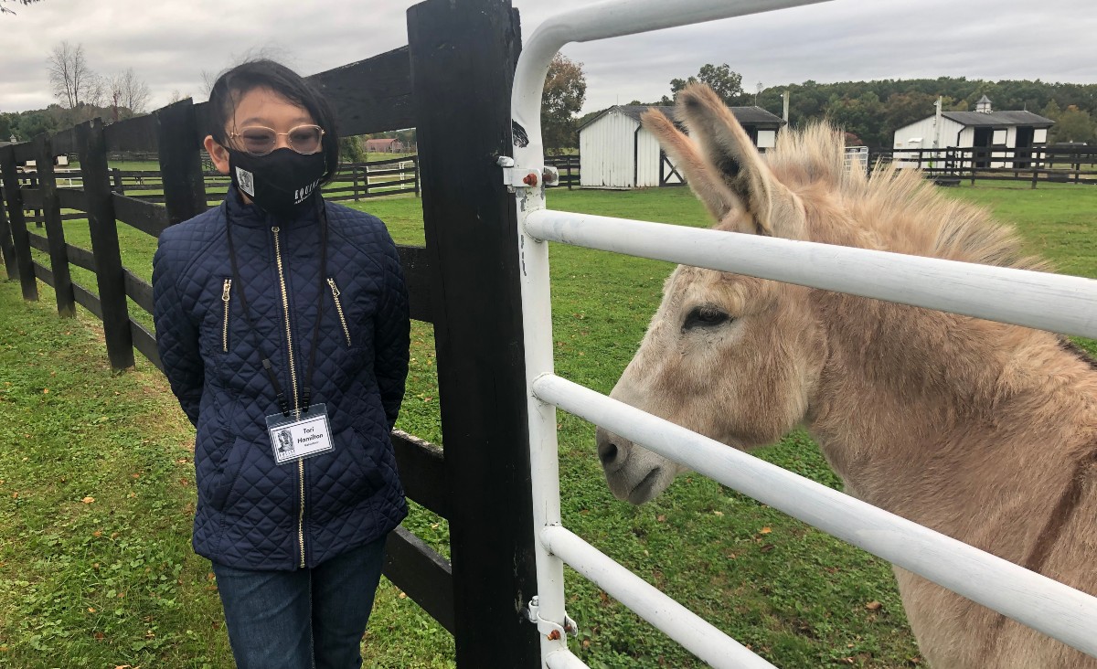 Volunteer Tori Hamilton greets Jake, a rescued mini donkey.