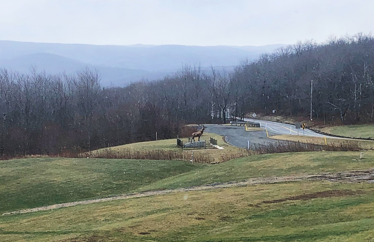 The Elk on the Trail Monument still stands. Installed in 1923, it was paid for by the Benevolent & Protective Order of Elks to honor those killed in WWI. The Elk on the Trail Monument still stands. Installed in 1923, it was paid for by the Benevolent & Protective Order of Elks to honor those killed in WWI.