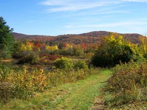 Rural Intelligence Community