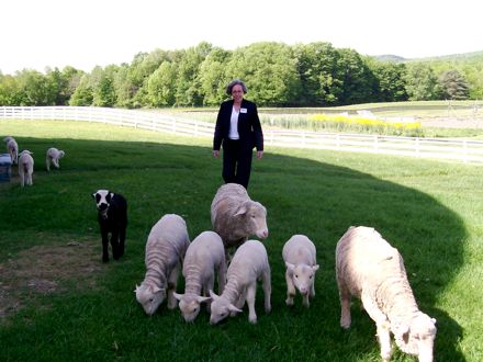 Rural Intelligence Community