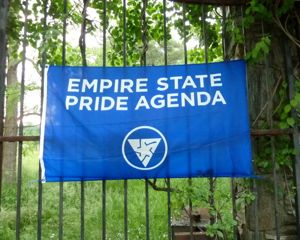 Rural Intelligence Parties and Openings