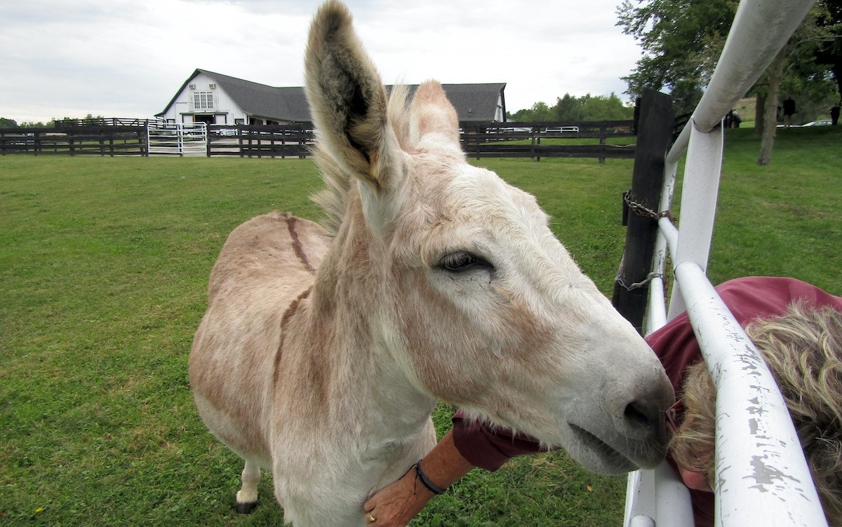 Jake moves in for a smooch. Jake moves in for a smooch.