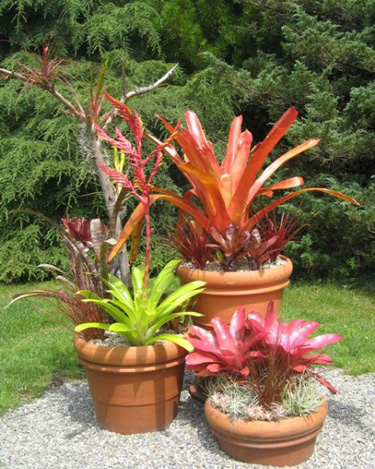 Rural Intelligence Style