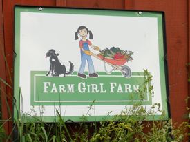 Rural Intelligence Style