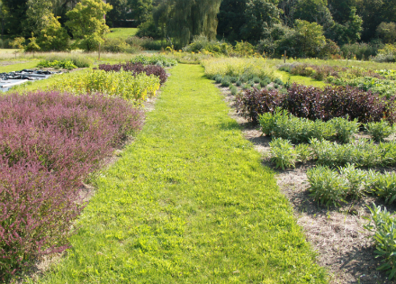 Rural Intelligence Style