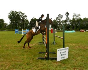 Rural Intelligence Community