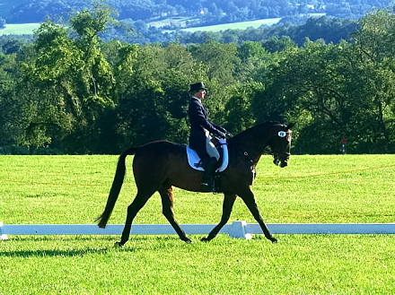 Rural Intelligence Road Trips