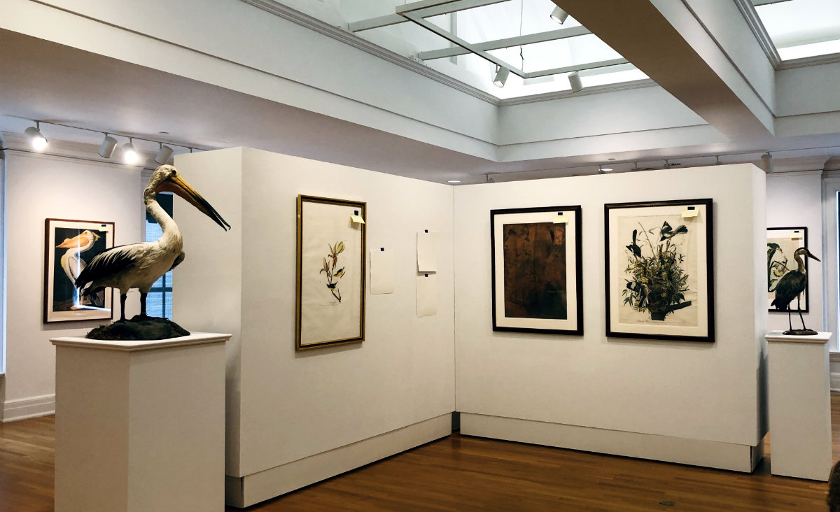 Tremaine Gallery, mid hanging Tremaine Gallery, mid hanging