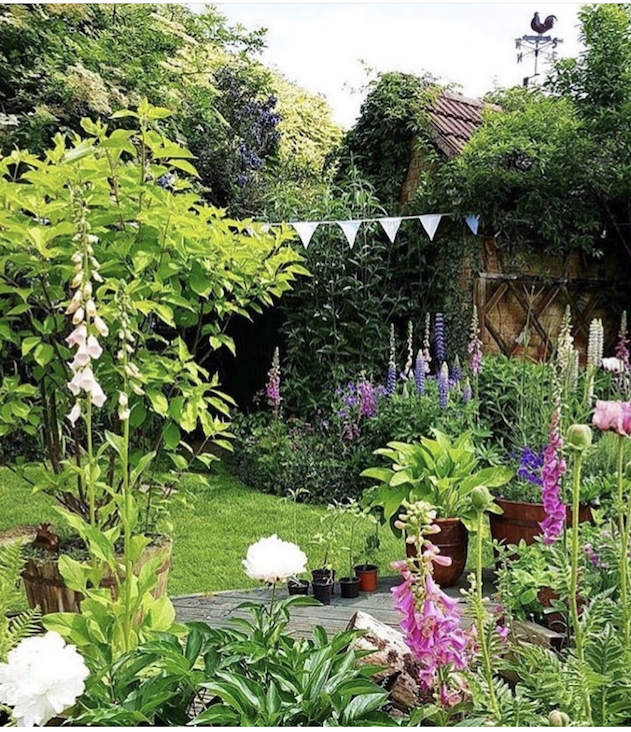 Eric Spiegel&#39;s Spencertown garden