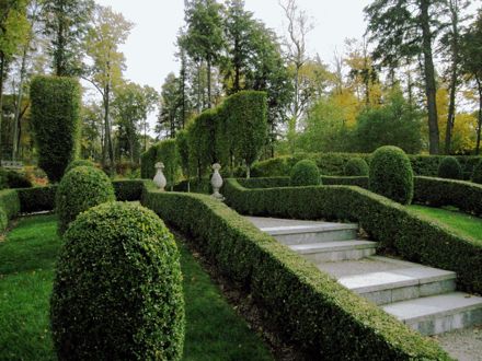 Rural Intelligence Style