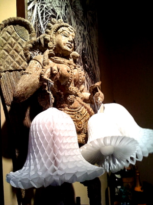 Rural Intelligence Issues