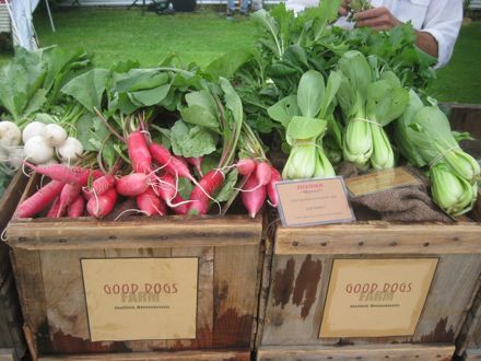 Rural Intelligence Food