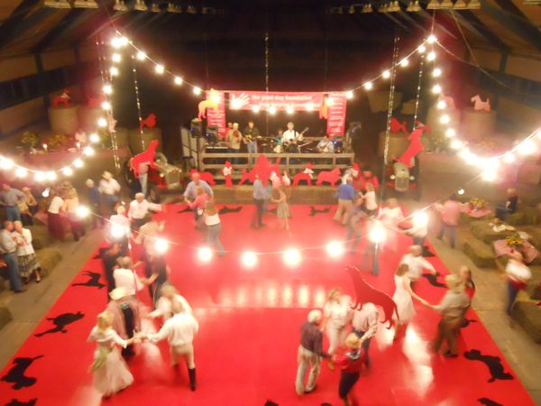 Rural Intelligence Parties and Openings