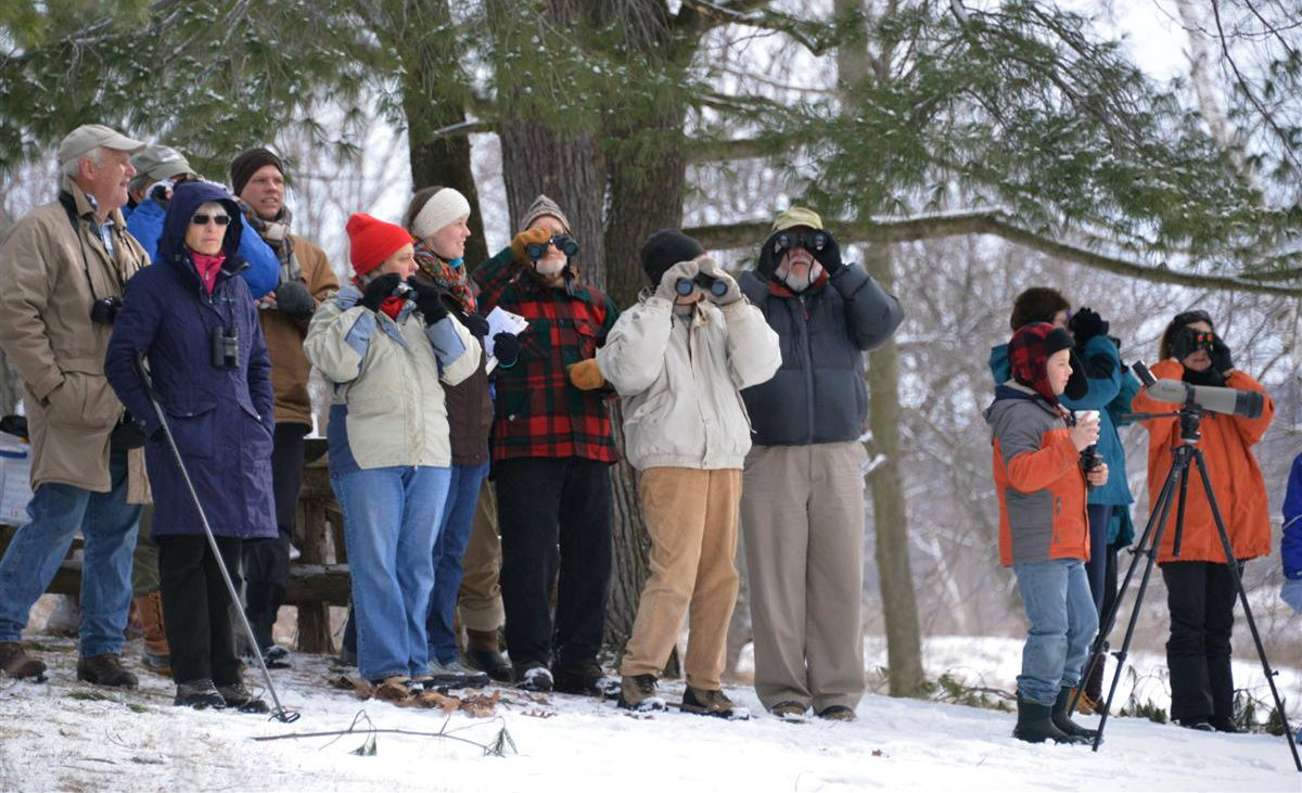 The Great Backyard Bird Count The Great Backyard Bird Count