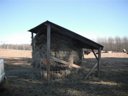 Rural Intelligence Food