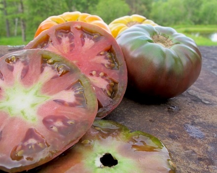 Rural Intelligence Food