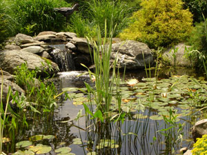 Rural Intelligence Road Trips