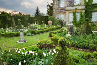 Rural Intelligence Style