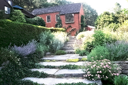 Rural Intelligence Style