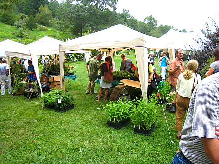 Rural Intelligence Style