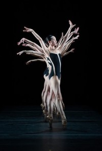 Rural Intelligence Arts