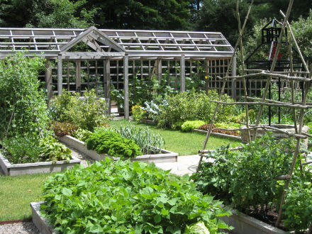 Rural Intelligence Style