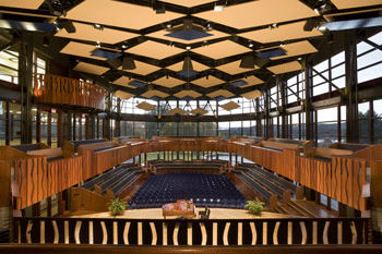 Rural Intelligence Arts