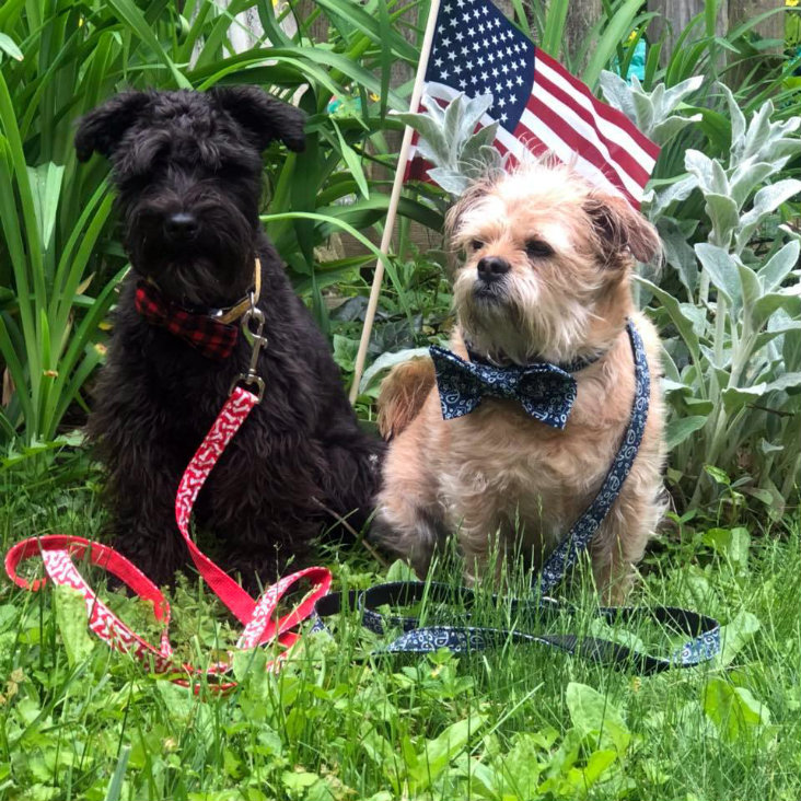 House models Pepper and Waldo