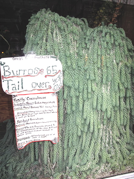 Rural Intelligence Style