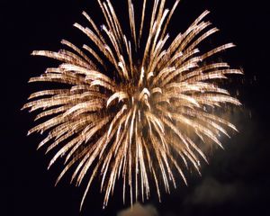 Rural Intelligence Parties and Openings