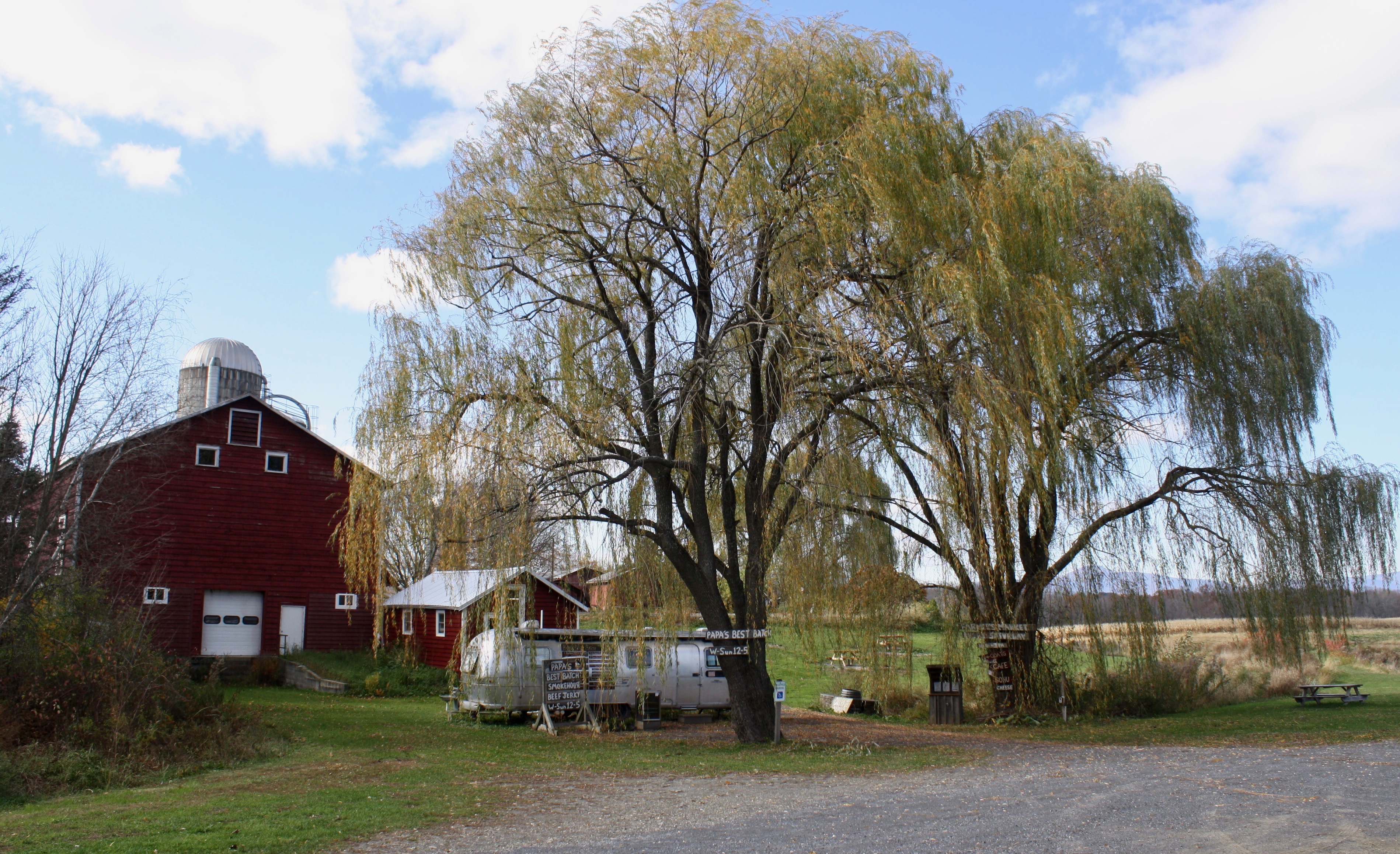 Papa&#39;s Best Batch under the weeping willows