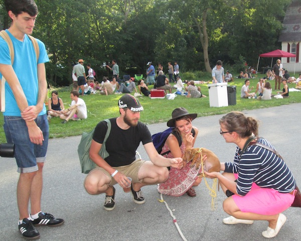 Rural Intelligence Parties and Openings