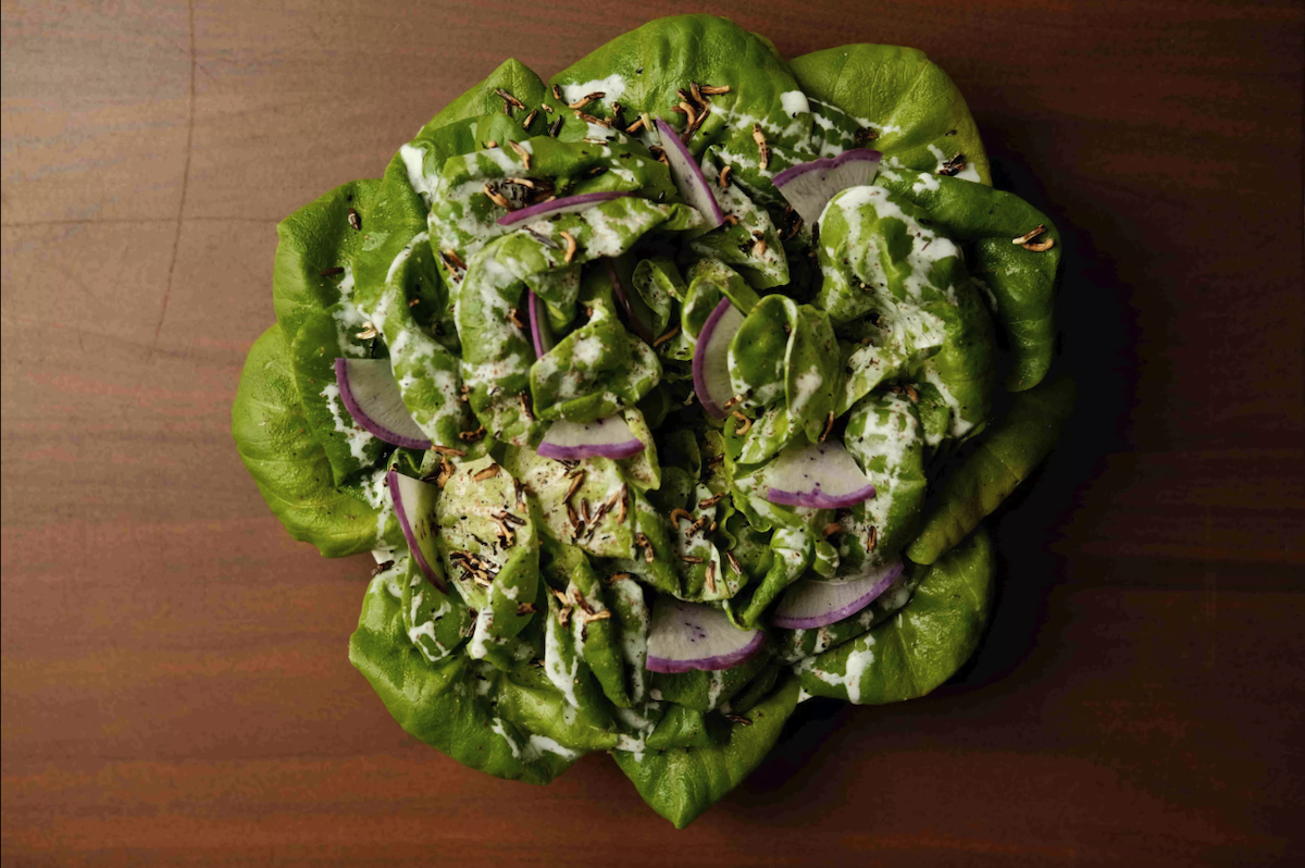 Butterhead lettuce is dressed with spruce vinaigrette and served with radishes, shallots, and fresh cheese. - Isabela Butterhead lettuce is dressed with spruce vinaigrette and served with radishes, shallots, and fresh cheese. - Isabela