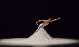 Rural Intelligence Arts