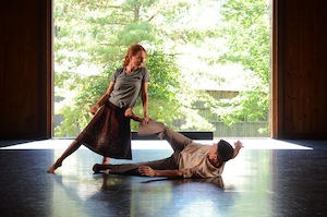 Rural Intelligence Arts