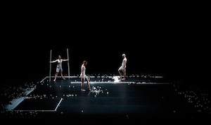 Rural Intelligence Parties and Openings