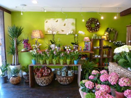 Rural Intelligence Style