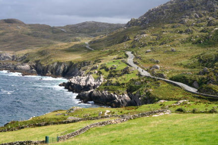 Rural Intelligence Food