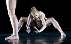 Rural Intelligence Arts