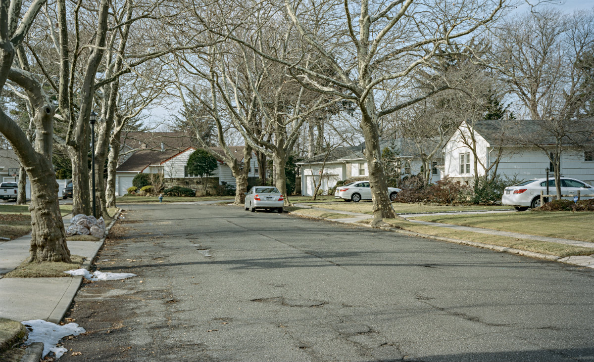 Neighborhood landscape
