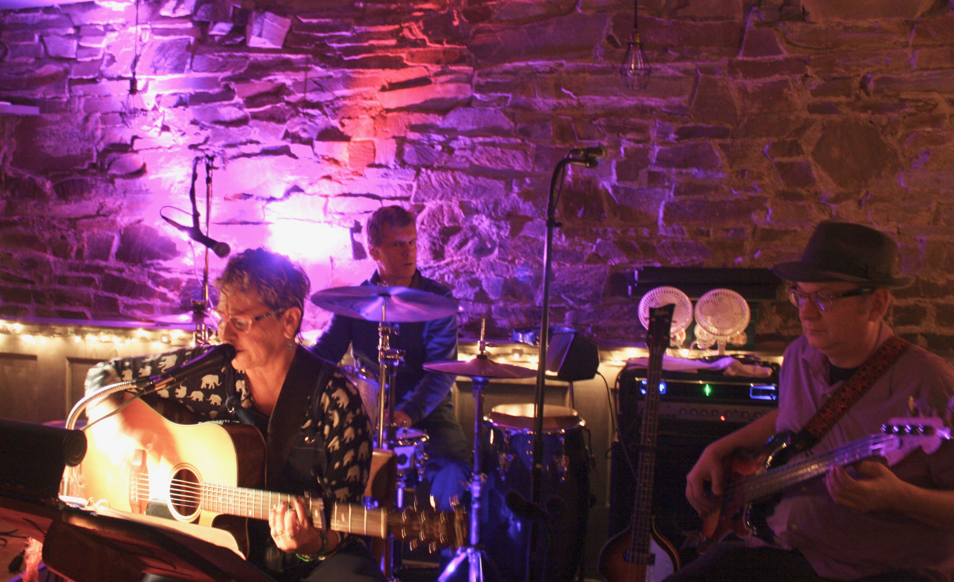 The excellent but still unnamed band of Abby Lappen, Steve Collins and Pete Toigo.