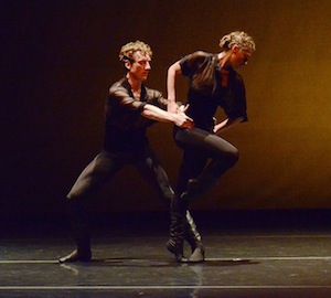 Rural Intelligence Arts