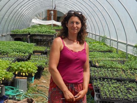 Rural Intelligence Style