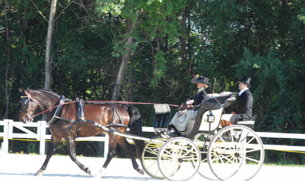 Rural Intelligence Road Trips