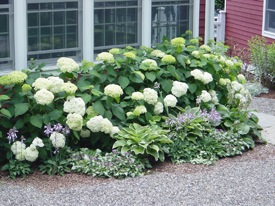 Rural Intelligence Home and Garden