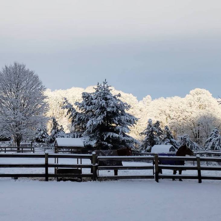 A photogenic winter scene at Lilymoore Farm A photogenic winter scene at Lilymoore Farm