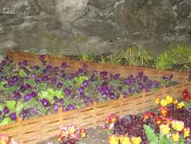 Rural Intelligence Home and Garden