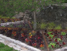 Rural Intelligence Home and Garden