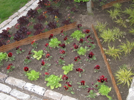 Rural Intelligence Home and Garden